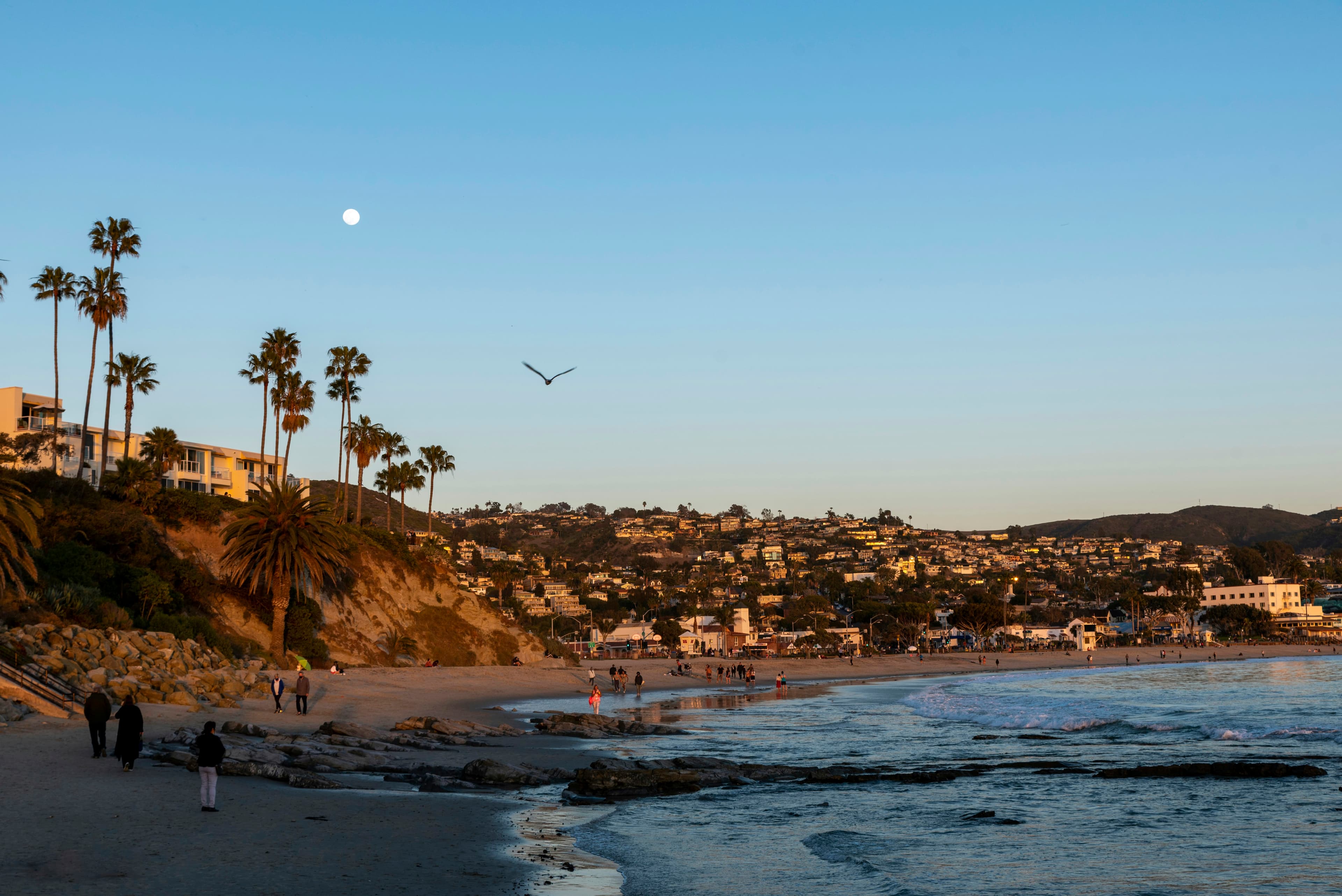 Laguna Beach shoreline and hillside at dusk