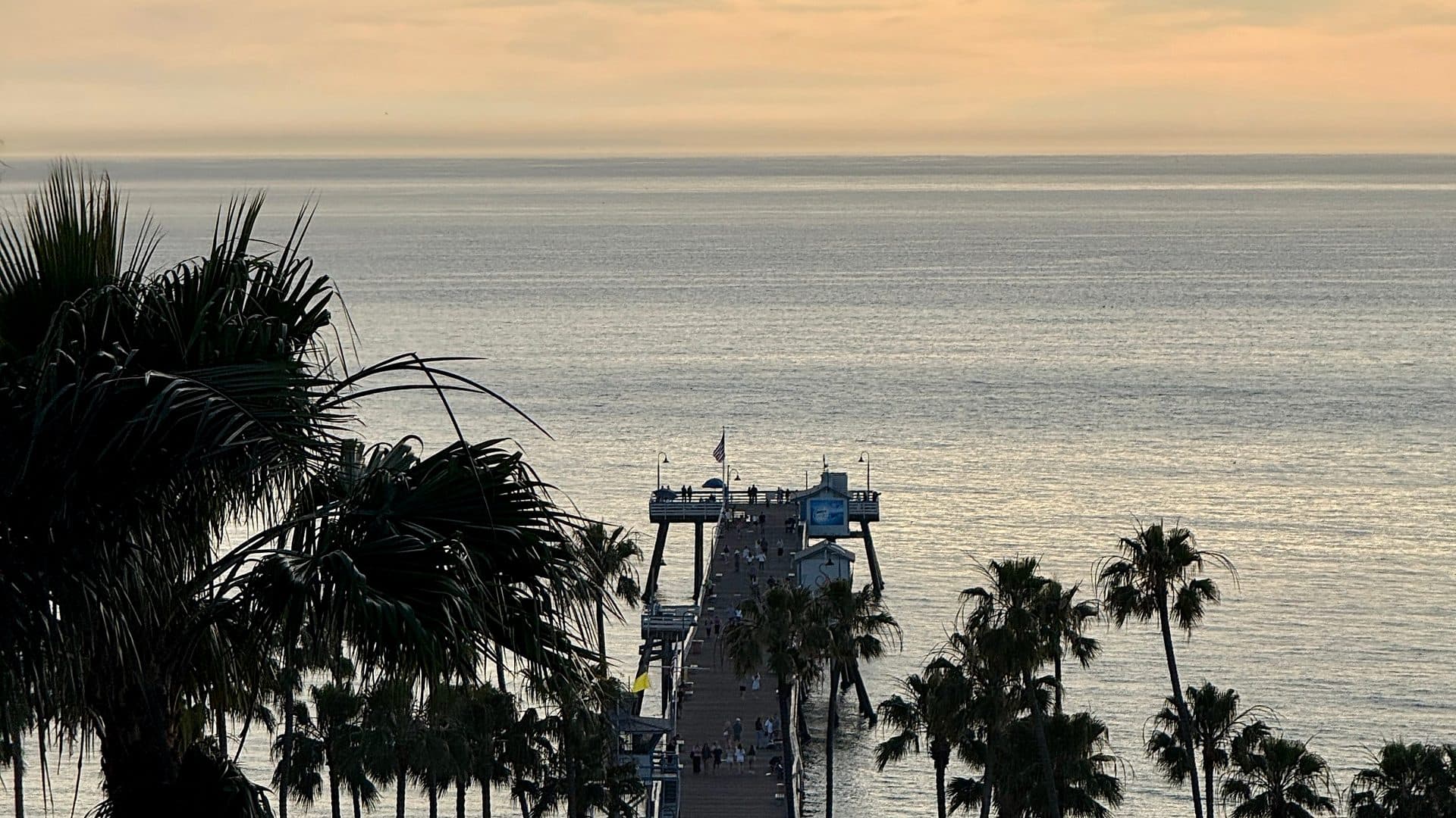 San Clemente Pier seen through palm trees at sunset